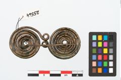 Foto von Bronzebrillenfibel (NHMW-PRAE-025564)